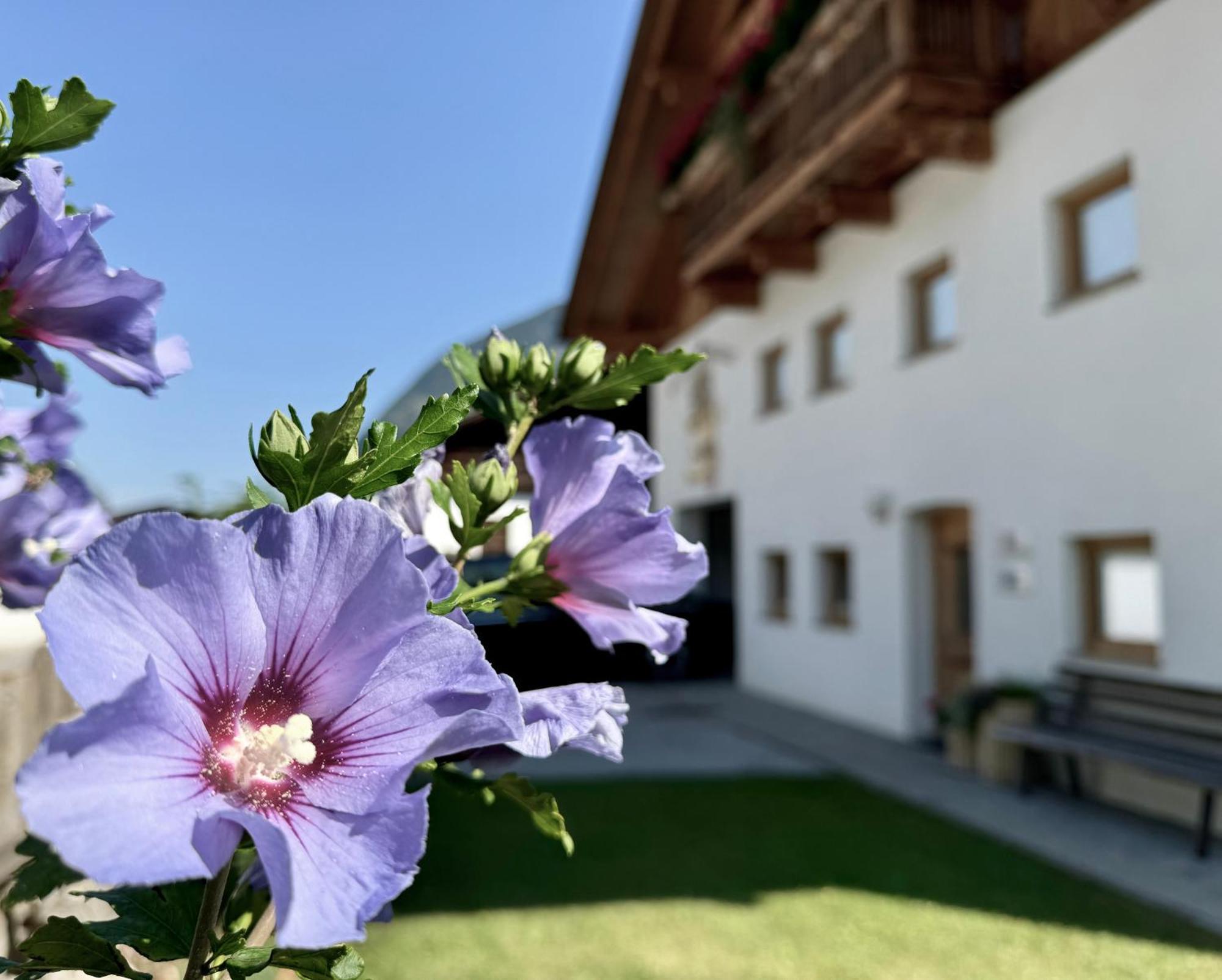 Landhaus Waldhart Умгаузен Екстер'єр фото